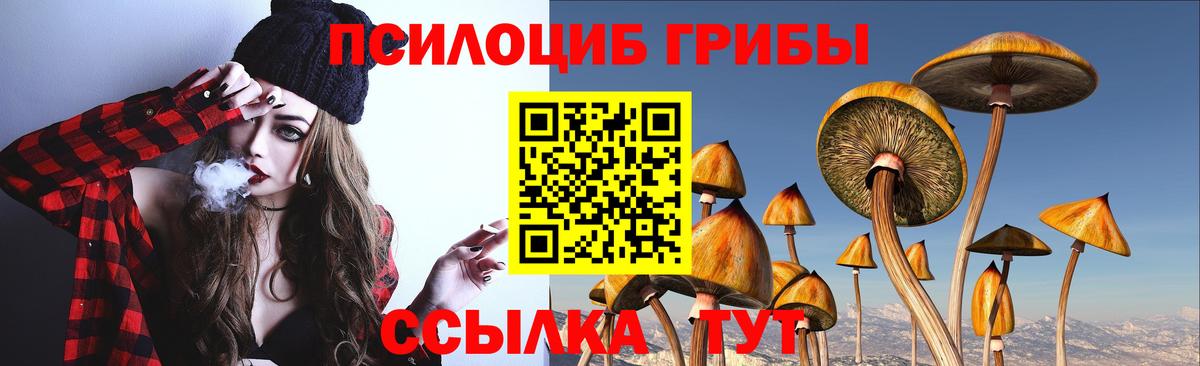 Псилоцибиновые грибы Psilocybine cubensis Избербаш
